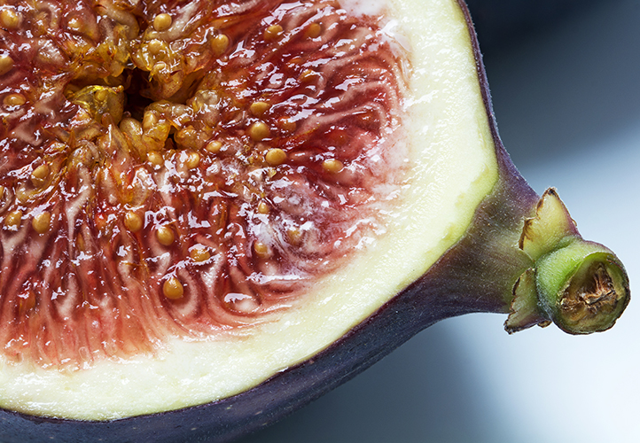 Figs & Wasps How Are Figs Pollinated?