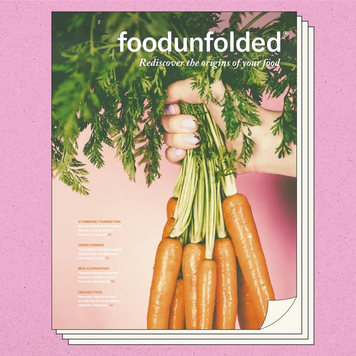 The FoodUnfolded Magazine (#001)
