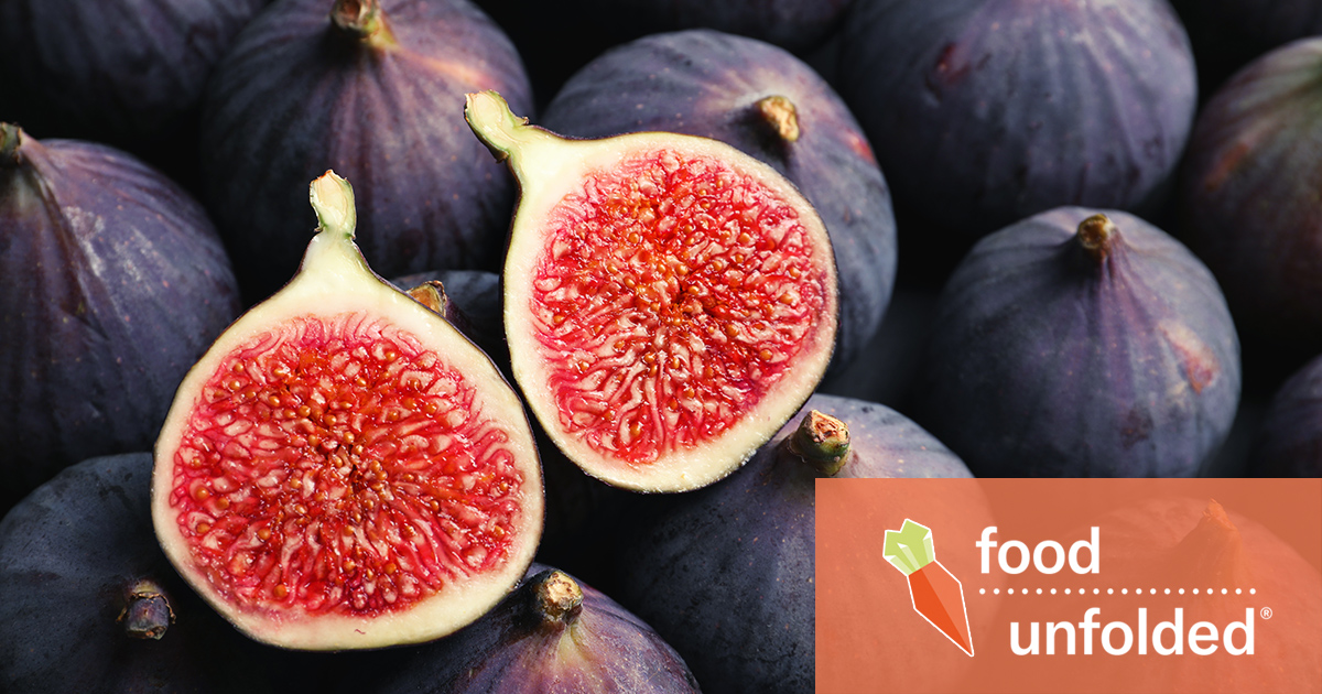 Figs & Wasps How Are Figs Pollinated?