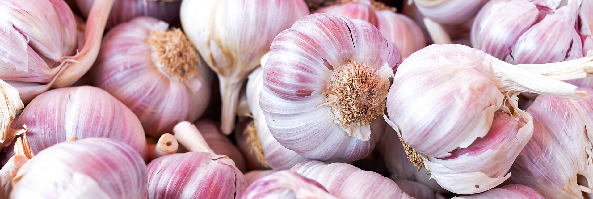 https://www.foodunfolded.com/media/images/header-banner-garlic.jpg