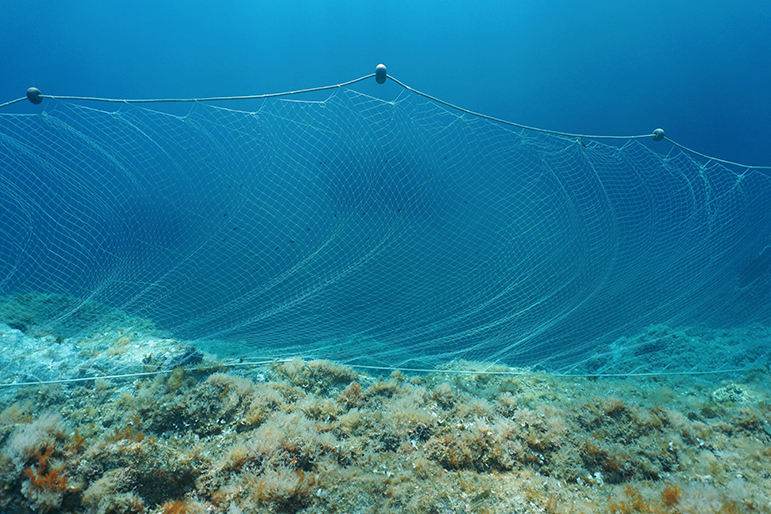 Trazabilidad en redes de pesca - Pescare